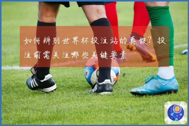 如何辨别世界杯投注站的真假？投注前需关注哪些关键要素