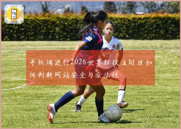 手机端进行2026世界杯投注时该如何判断网站安全与合法性