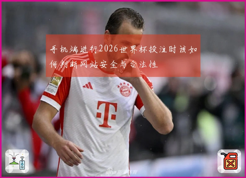 手机端进行2026世界杯投注时该如何判断网站安全与合法性