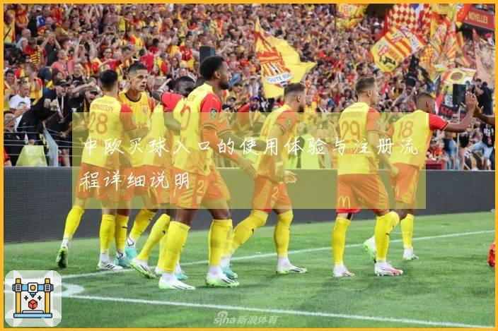 中欧买球入口的使用体验与注册流程详细说明