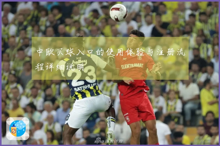 中欧买球入口的使用体验与注册流程详细说明
