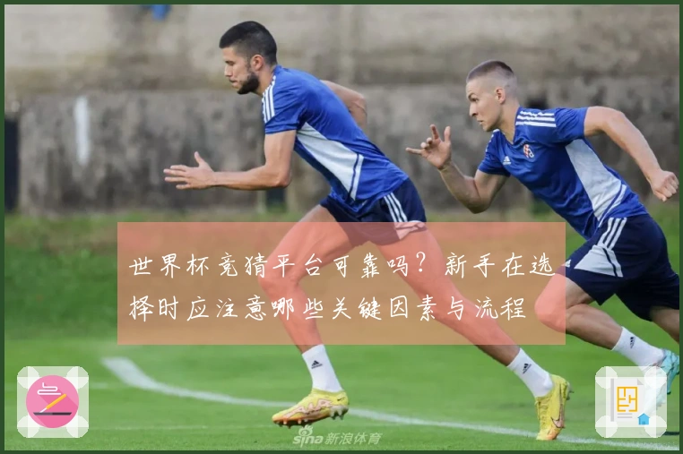 世界杯竞猜平台可靠吗？新手在选择时应注意哪些关键因素与流程