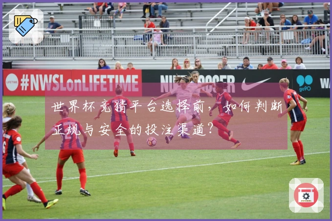 世界杯竞猜平台选择前，如何判断正规与安全的投注渠道？
