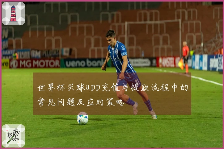 世界杯买球app充值与提款流程中的常见问题及应对策略