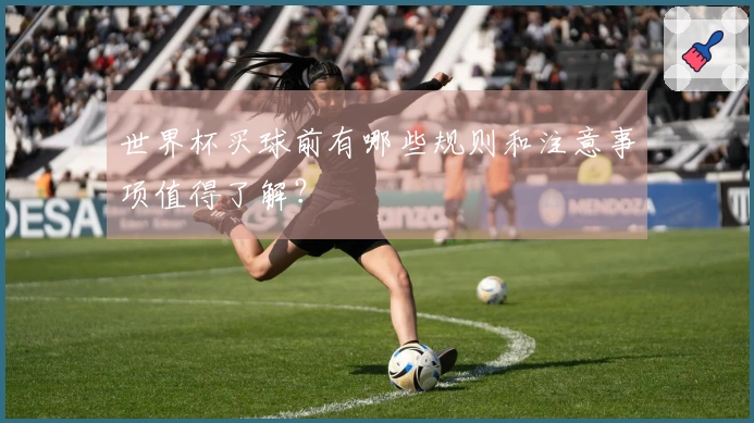 世界杯买球前有哪些规则和注意事项值得了解？