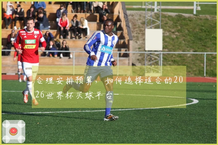 合理安排预算，如何选择适合的2026世界杯买球平台-