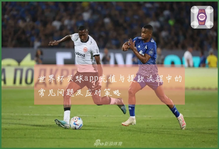 世界杯买球app充值与提款流程中的常见问题及应对策略