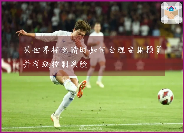 买世界杯竞猜时如何合理安排预算并有效控制风险