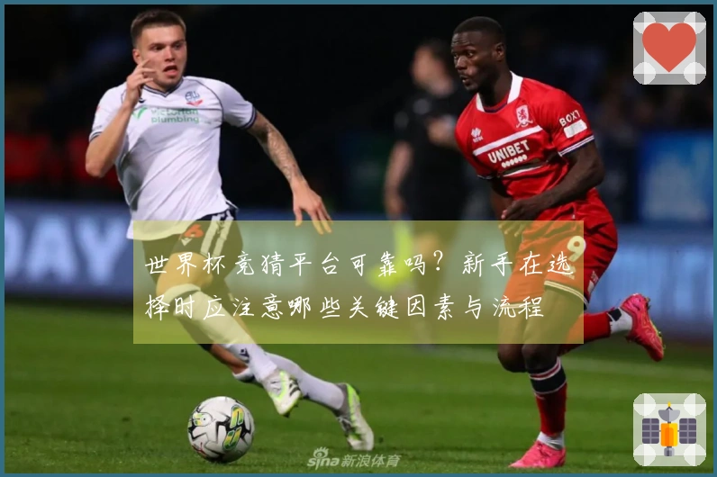 世界杯竞猜平台可靠吗？新手在选择时应注意哪些关键因素与流程