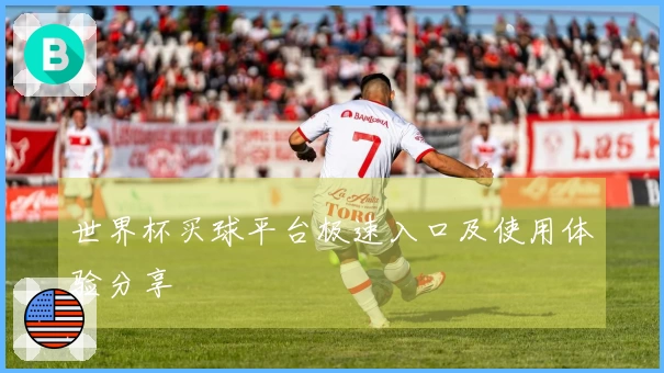 世界杯买球平台极速入口及使用体验分享