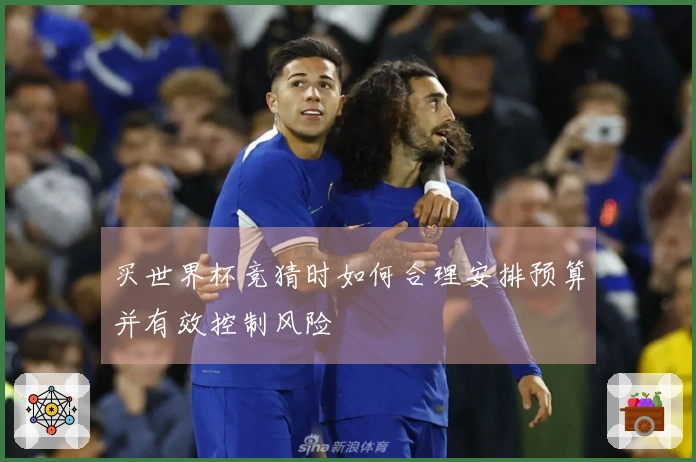 买世界杯竞猜时如何合理安排预算并有效控制风险