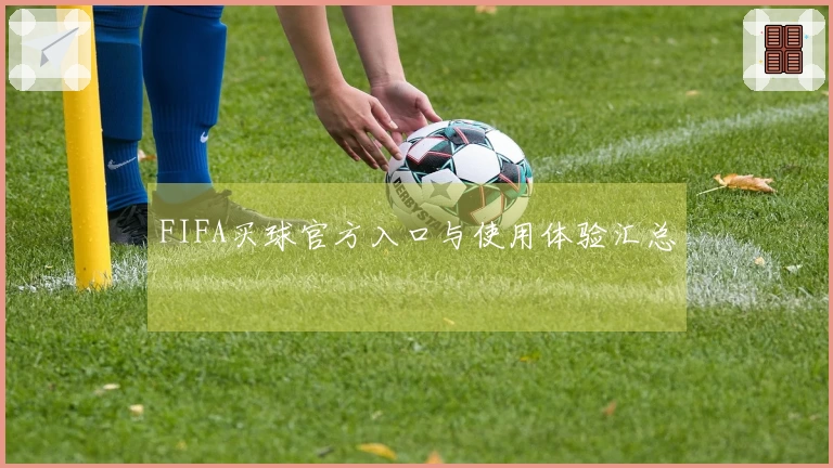 FIFA买球官方入口与使用体验汇总