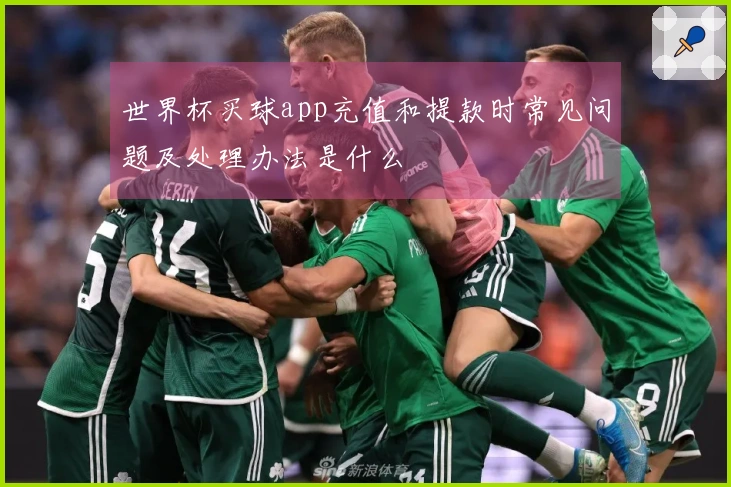 世界杯买球app充值和提款时常见问题及处理办法是什么