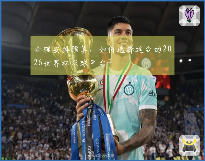 合理安排预算，如何选择适合的2026世界杯买球平台-